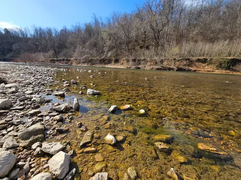 000 County Road 337a, Dora, MO 65637 photo 41