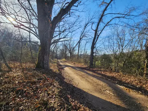 000 County Road 337a, Dora, MO 65637 photo 5
