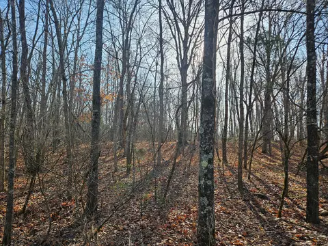 000 County Road 337a, Dora, MO 65637 photo 26
