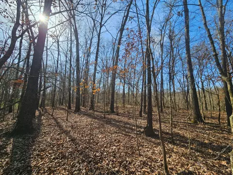 000 County Road 337a, Dora, MO 65637 photo 35