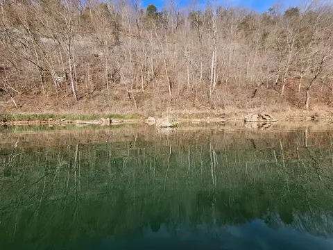 000 County Road 337a, Dora, MO 65637 photo 29