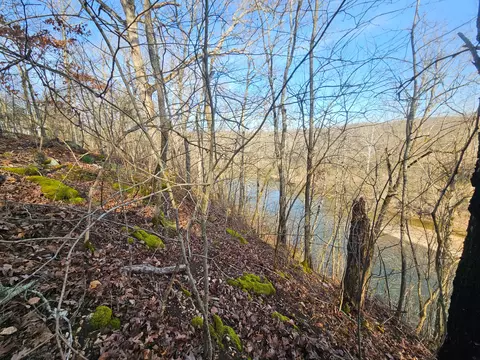 000 County Road 337a, Dora, MO 65637 photo 18