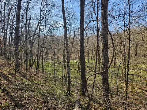 000 County Road 337a, Dora, MO 65637 photo 36