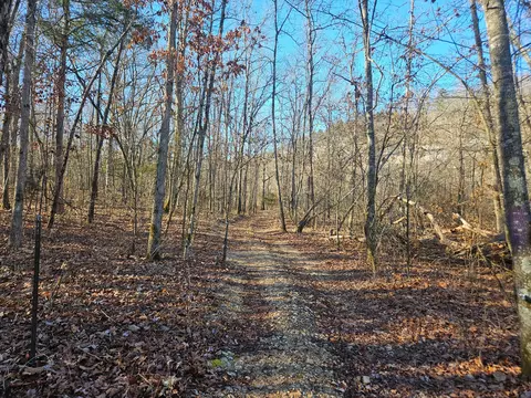 000 County Road 337a, Dora, MO 65637 photo 9