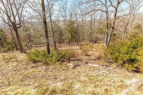 1916 Emory Creek Blvd, Branson, MO 65616 photo 10
