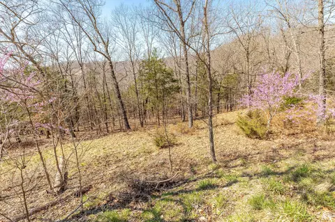 1916 Emory Creek Blvd, Branson, MO 65616 photo 7