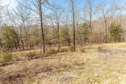 1916 Emory Creek Blvd, Branson, MO 65616 photo 9