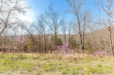 1916 Emory Creek Blvd, Branson, MO 65616 photo 6