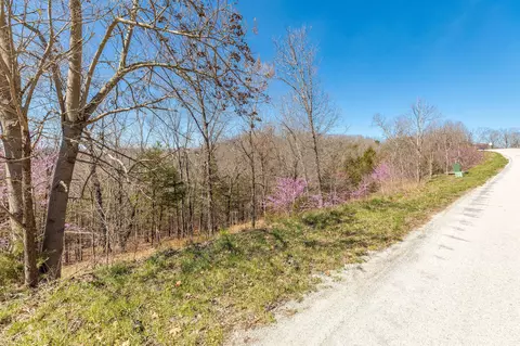 1916 Emory Creek Blvd, Branson, MO 65616 photo 8