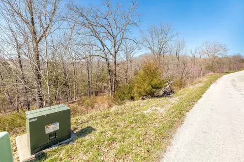 1916 Emory Creek Blvd, Branson, MO 65616 photo 4