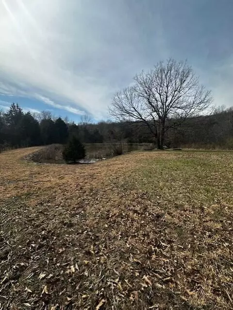 733 Old Sycamore Loop, Marshfield, MO 65706 photo 21