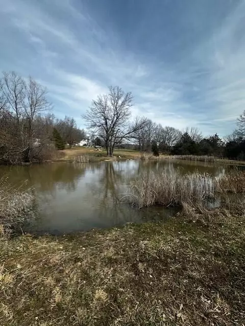 733 Old Sycamore Loop, Marshfield, MO 65706 photo 2