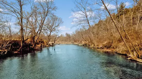Tract 8 County Road 256, Thayer, MO 65791 photo 12