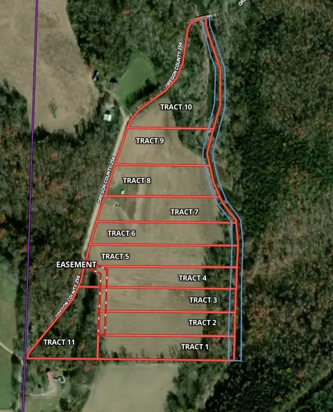Tract 8 County Road 256, Thayer, MO 65791 photo 3