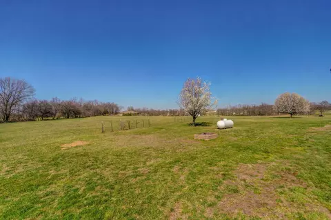 157 Wild Cat Rd, Billings, MO 65610 photo 29