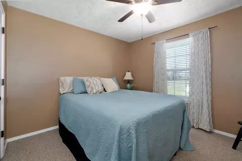 157 Wild Cat Rd, Billings, MO 65610 photo 24