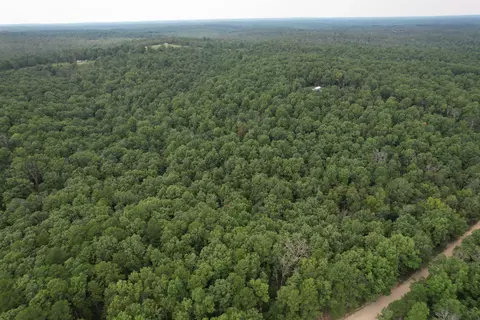0000 County Road 421, Birch Tree, MO 65438