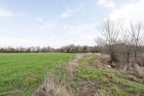 000 Mo-13, Collins, MO 64738 photo 26