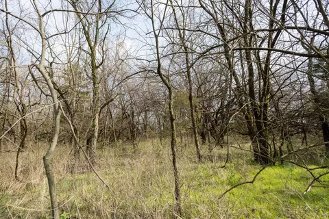 000 Mo-13, Collins, MO 64738 photo 7