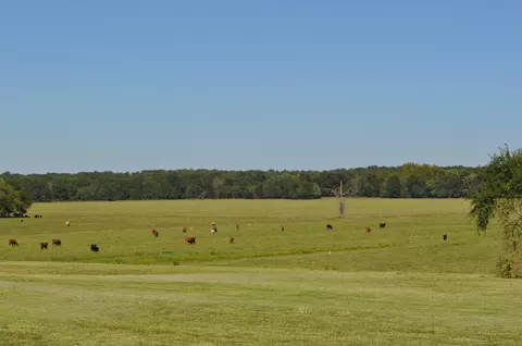 700 N Highway Cc, Lamar, MO 64759 photo 6
