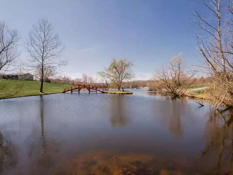 View/Area - 100 Pond View Dr, Marshfield, MO 65706 photo 1 of 6