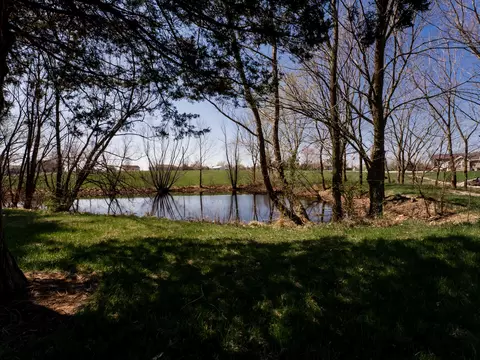 View/Area - 100 Pond View Dr, Marshfield, MO 65706 photo 6 of 6