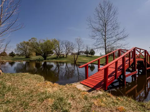 View/Area - 100 Pond View Dr, Marshfield, MO 65706 photo 4 of 6