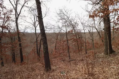 92 Clear Brook Ln, Tunas, MO 65764 photo 31