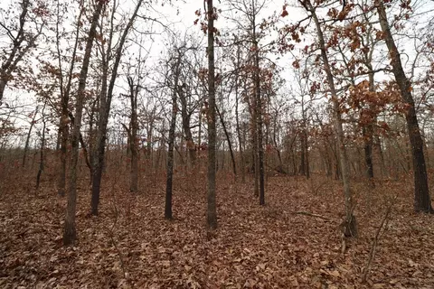 92 Clear Brook Ln, Tunas, MO 65764 photo 29