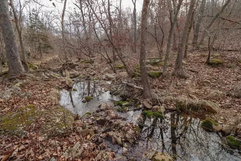92 Clear Brook Ln, Tunas, MO 65764 photo 39