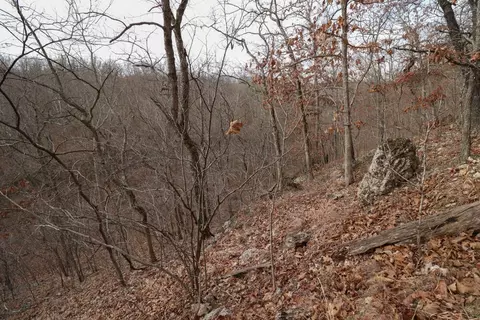 92 Clear Brook Ln, Tunas, MO 65764 photo 33