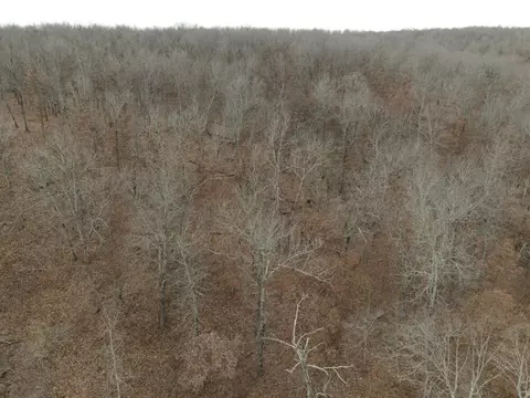 92 Clear Brook Ln, Tunas, MO 65764 photo 12