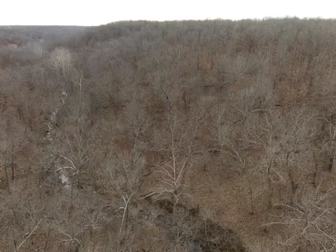 92 Clear Brook Ln, Tunas, MO 65764 photo 13