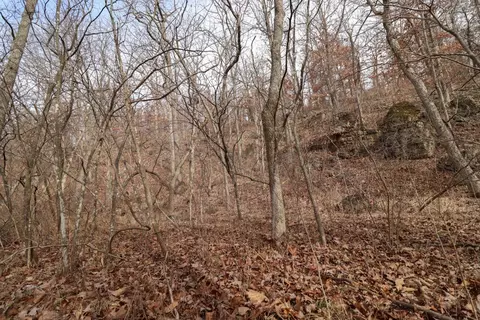 92 Clear Brook Ln, Tunas, MO 65764 photo 35
