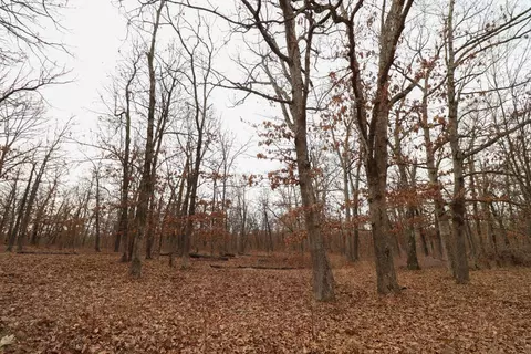 92 Clear Brook Ln, Tunas, MO 65764 photo 26