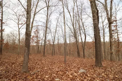 92 Clear Brook Ln, Tunas, MO 65764 photo 46