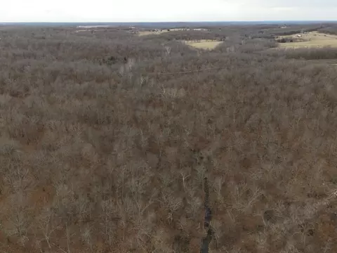 92 Clear Brook Ln, Tunas, MO 65764 photo 7
