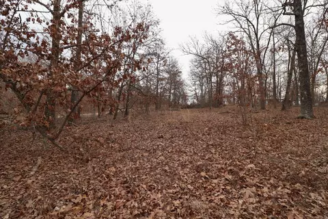 92 Clear Brook Ln, Tunas, MO 65764 photo 27