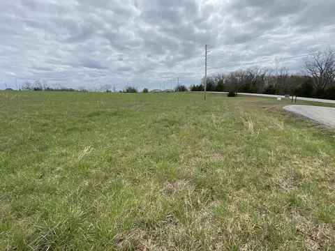 000 Rosewood Dr, Branson, MO 65616 photo 3
