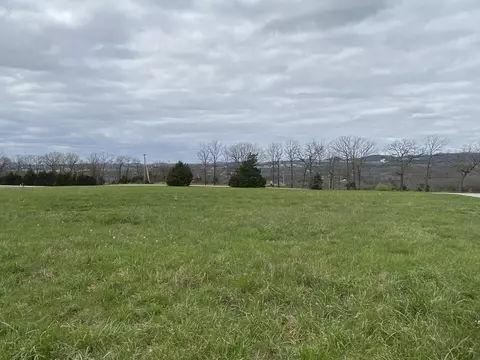 000 Rosewood Dr, Branson, MO 65616 photo 2