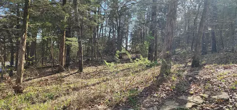 lot40 41 Cedar Pt, Shell Knob, MO 65747 photo 8