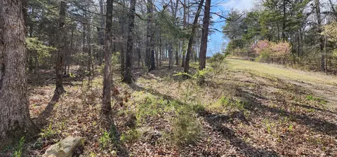 lot40 41 Cedar Pt, Shell Knob, MO 65747 photo 12