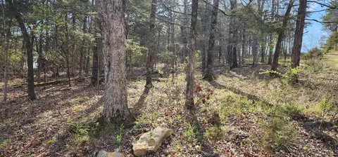 lot40 41 Cedar Pt, Shell Knob, MO 65747 photo 11