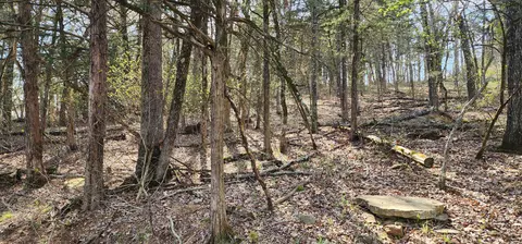 lot40 41 Cedar Pt, Shell Knob, MO 65747 photo 4