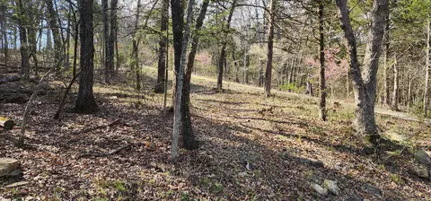 lot40 41 Cedar Pt, Shell Knob, MO 65747 photo 2