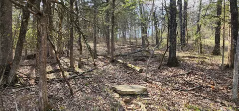 lot40 41 Cedar Pt, Shell Knob, MO 65747 photo 5