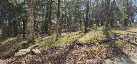 lot40 41 Cedar Pt, Shell Knob, MO 65747 photo 9