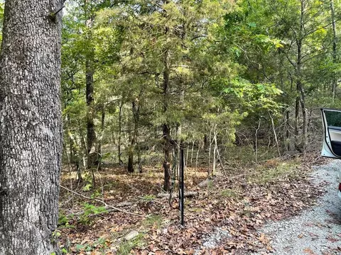 tbd Pine Hollow Rd, Protem, MO 65733
