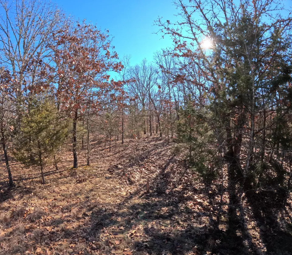 Tract A Greatview Lane, Lebanon, MO 65536 21 Photos Movoto