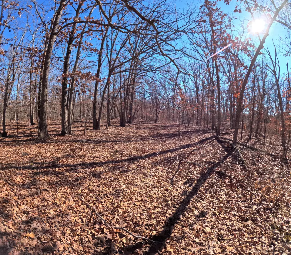 Tract T Greatview Lane, Lebanon, MO 65536 20 Photos Movoto